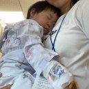 엔비어블 | 아기 해선청성 안검내반 이야기 3 연세 세브란스병원 수술 후기