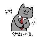 스테이선선