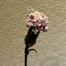 남산PC방 | 굿바이 이우