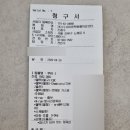 고양이 스케일링 비용 얼마였을까? 현대해상 펫보험 청구 후기까지 한눈에