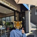 은행나무빌라 | 강원도 원주 당일치기 여행 코스 추천 (앤트빌라 - 소금산 그랜드밸리 - 스톤크릭 - 반계리 은행나무)