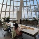 시흥오이도박물관 | 입장료 무료 시흥오이도박물관 주말 주차 카페와 무료 체험까지