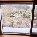 다숲키즈펜션 네이버블로그