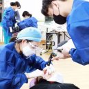 할렐루야교회(사랑의학교) 이미지