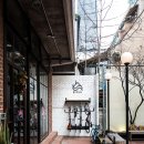 RAPHA Fit 네이버블로그