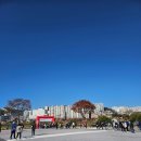 대한적십자사 | 2025 제14회 대한적십자사 나눔실천 자선걷기 참여 후기