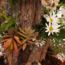 달우물농장 이미지