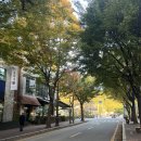 흰돌감자탕 | 안양유원지맛집 , 안양예술공원맛집 "흰돌감자탕" 뼈찜 후기