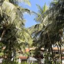 (주)하이그레이트썬 - 215 | 더 아남 깜란 Three-Bedroom Hilltop Pool Villa 후기｜나트랑 풀빌라 리조트 추천 ｜ 7명 단체여행...