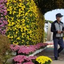 소호익산 이미지