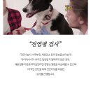 휴동물병원 이미지