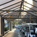 양성초등학교 | 한림안성cc(구 레이크힐스) 노캐디라운드, 올해의 마지막 라운드 후기