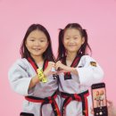 월드스타클래스태권도장 이미지