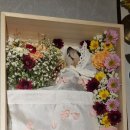 포포즈 반려동물장례식장 김포점 이미지