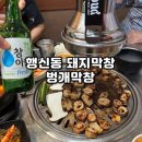 벙개막창 | 행신동 돼지막창 맛집 벙개막창 행신본점 솔직후기