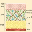 빛이나약국 이미지