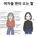 근데 솔직히 여자들 외모에 돈쓰고 정병짓하는거 이미지