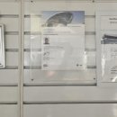 윤씨네차고 이미지