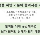 용소초등학교 병설유치원 이미지