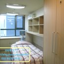 서초레몬 이미지