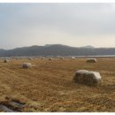 신촌1리 이미지