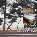 보성다비치콘도 | 보성 다비치콘도 목욕탕, 노래방, 조식ㅣ보성 숙소