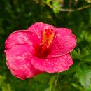 아산가든 이미지