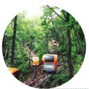 청풍 태양광발전소 이미지