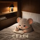 안동 감성숙소 호호재 후기｜자쿠지부터 분위기까지 솔직 기록(내돈내산)