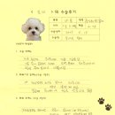 토비동물병원 | [#1382] 토비(양측 슬개골탈구 G2, G3)의 수술후기