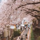 개금2동-13 이미지