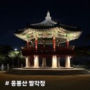 응봉산 팔각정 | [응봉산 팔각정] 단청이 예쁜 2층 누각에서 바라보는 예쁜 한강 야경