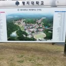 명대지 이미지
