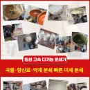 월시스 네이버블로그
