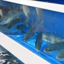 왕건횟집 이미지