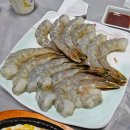 가보자횟집 - 태안군 용도로 261 | [태안여행 자연산 대하 맛집 추천] 생새우회 & 새우, 전어까지 맛있는 가보자횟집 내돈내산 후기