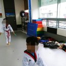 율하엘리트태권도장 이미지