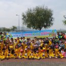 왜관초교(병설) 이미지