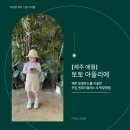 토토PC | 제주 애월 키즈, 성인 쿠킹 원데이 클래스 &amp; 텃밭 체험 가능한 토토 아뜰리에 예약 꿀팁 및 내돈내산 후기
