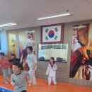 경희대라이언태권도 이미지