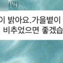 내가좋아하는 이미지