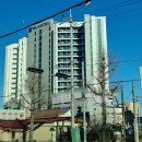 SL강릉호텔 | SL호텔 강릉 주문진 가격 가성비 좋은 호텔 후기