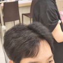 천연염색헤어샵 | [부산/서면]서면 남자 미용실 하이브헤어에서 컷트+천연 염색,와칸 염색한 솔직 후기😉