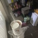 이남내과의원 | 코로나 자가키트 두줄 후 '대구의료원에서 pcr검사' 자가키트 목에 검사했더니 양성