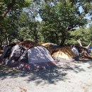 초평선착장 이미지