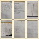 Team Shark | <라라ERC> 영어말하기 축제 - 뜨거웠던 여름날의 참가 후기 2탄~!