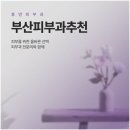 휴먼메디칼 | 부산 피부과 추천 후기만큼 중요했던 것