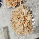 이순살장군 이미지