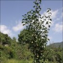 원산농장 이미지