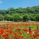 사선대 섬진강변 따라 걷는 <b>선남선녀</b>길